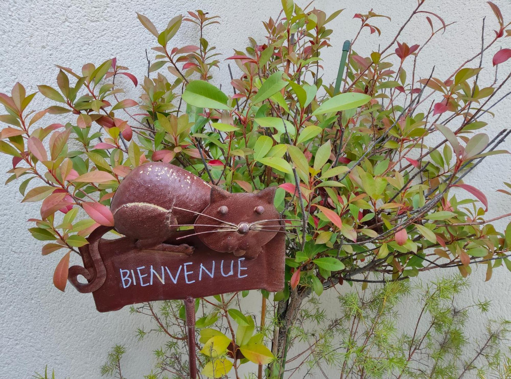 Du Cote De Chez Paule, Avec Entree Independante Et Salle D'eau Privative *